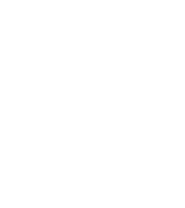 Business Data Labs Logo